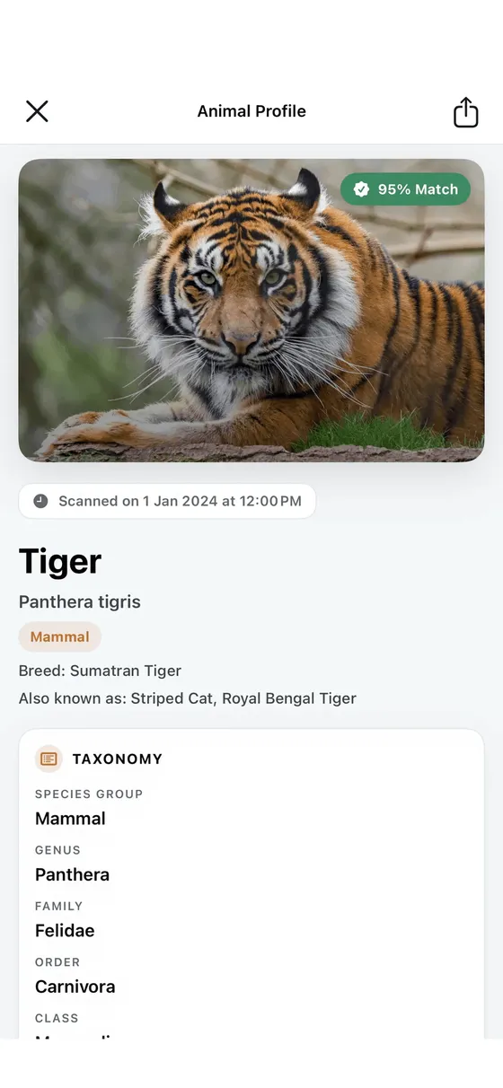 Animal Identifier result screen identifying a tiger, Panthera tigris, with a 95 percent match and its taxonomy