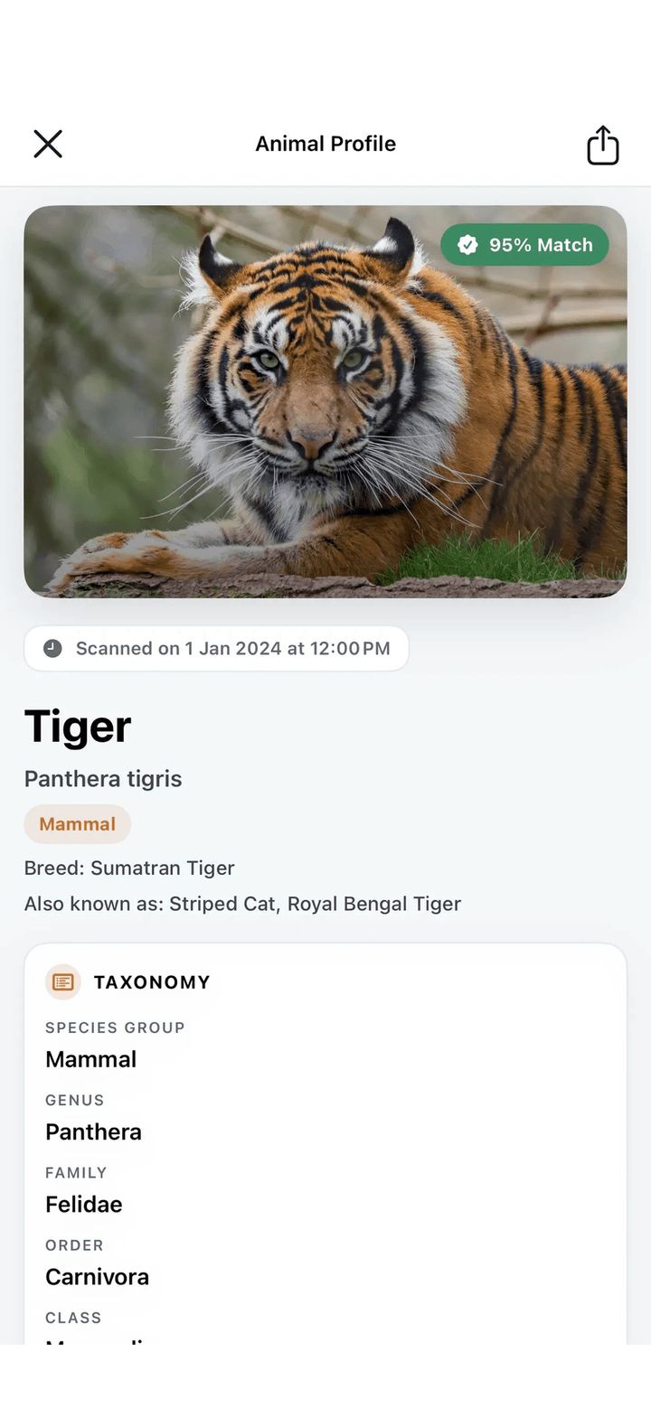 Animal Identifier result screen identifying a tiger with a 95 percent match and its taxonomy