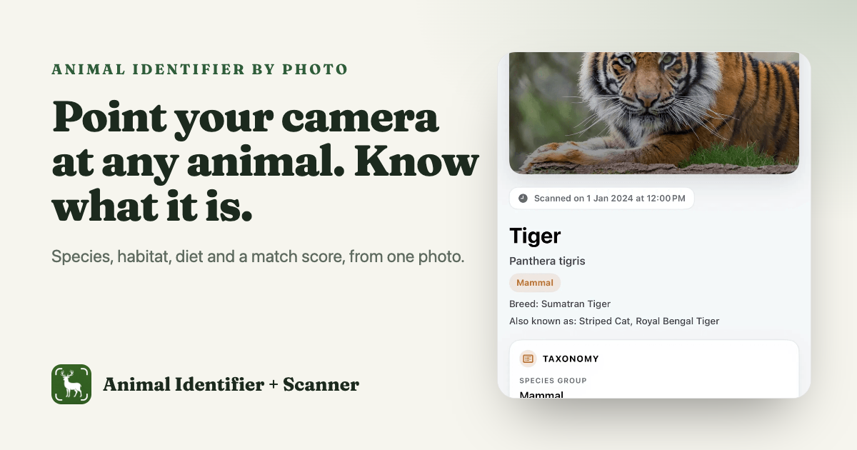 Animal Identifier social preview image